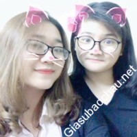 Gia sư giỏi Đại học Ngoại thương chuyên dạy kèm môn Toán, Vật Lý, Hóa, Tiếng Anh, dạy Toán bằng Tiếng Anh