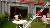 Giáo viên giỏi Đơn vị khác chuyên dạy kèm môn Toán, Vật Lý, Hóa