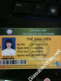 Gia sư giỏi Đại học Sư phạm - Đại học Huế chuyên dạy kèm môn Toán, Ngữ văn