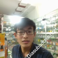 Gia sư giỏi Đại học Đà Nẵng - Khoa Y Dược chuyên dạy kèm môn Toán, Tiếng Anh, Tiếng Anh giao tiếp