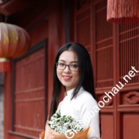 Gia sư giỏi Đại học Kinh tế Quốc dân chuyên dạy kèm môn Tiếng Anh, Tiếng Việt cho người nước ngoài, Tiếng Anh giao tiếp