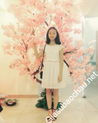 Gia sư giỏi Đại học Ngoại thương chuyên dạy kèm môn Toán, Tiếng Anh, Luyện chữ đẹp