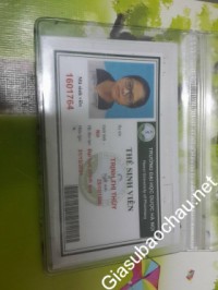 Gia sư giỏi Đại học Dược Hà Nội chuyên dạy kèm môn Toán, Vật Lý