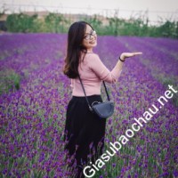Gia sư giỏi Công ty Cổ phần Rượu Phú Lễ chuyên dạy kèm môn Tiếng Anh, Tiếng Pháp, Luyện chữ đẹp