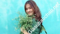 Gia sư giỏi Đại học Ngoại thương chuyên dạy kèm môn Tiếng Anh, Ngữ văn