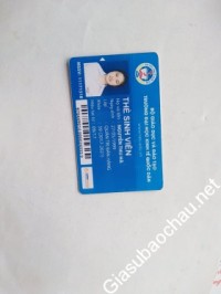 Gia sư giỏi Đại học Kinh tế Quốc dân chuyên dạy kèm môn Tiếng Anh