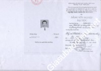 Giáo viên giỏi Đại học giao thông vận tải Tp HCM chuyên dạy kèm môn Tiếng Anh