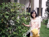 Gia sư giỏi Đơn vị khác chuyên dạy kèm môn Toán
