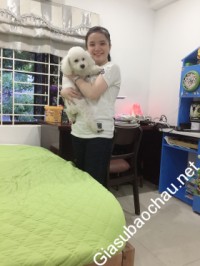 Giáo viên giỏi Cao đẳng Thương Mại Đà Nẵng chuyên dạy kèm môn Tiếng Nhật
