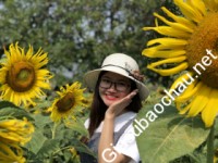 Gia sư giỏi Đại học Sư phạm Hà Nội chuyên dạy kèm môn Toán, Lịch sử, Địa lý, Tiếng Việt