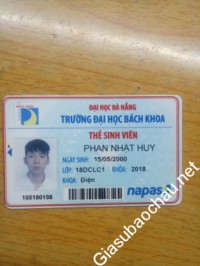 Gia sư giỏi Đại học Bách Khoa - Đại học Đà Nẵng chuyên dạy kèm môn Toán, Vật Lý