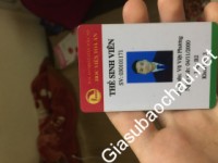 Gia sư giỏi Học viện Toà án chuyên dạy kèm môn Lịch sử, Địa lý