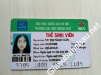 Gia sư giỏi Đại học Quốc gia Hà Nội - Đại học Ngoại ngữ chuyên dạy kèm môn Tiếng Anh, Tiếng Hàn, Tiếng Việt cho người Hàn