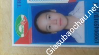 Gia sư giỏi Đại học Hà Nội chuyên dạy kèm môn Ngữ văn, Tiếng Việt, Tiếng Việt cho người Hàn