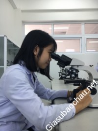 Gia sư giỏi Đại học Đà Nẵng - Khoa Y Dược chuyên dạy kèm môn Toán, Hóa, Tiếng Anh, Tiếng Việt