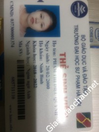 Gia sư giỏi Đại học Sư phạm Hà Nội chuyên dạy kèm môn Tiếng Anh