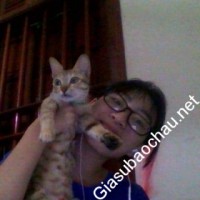 Gia sư giỏi 20YA chuyên dạy kèm môn Toán, Ngữ văn, Tiếng Việt