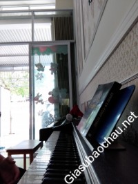 Gia sư giỏi Đại học Sư phạm - Đại học Huế chuyên dạy kèm môn Toán, Piano - Organ
