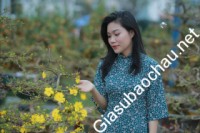 Gia sư giỏi Đại học Ngoại Ngữ - Đại học Đà Nẵng chuyên dạy kèm môn Tiếng Trung