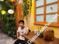 Gia sư giỏi Đại học Kinh tế - Luật chuyên dạy kèm môn Luyện thi IELTS, Tiếng Anh giao tiếp