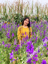 Gia sư giỏi Đại học Quốc gia Hà Nội - Đại học Ngoại ngữ chuyên dạy kèm môn Tiếng Anh, Luyện thi IELTS