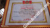 Giáo viên giỏi Đơn vị khác chuyên dạy kèm môn Toán, Vật Lý, Hóa