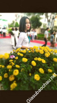 Gia sư giỏi Đại học Kinh tế Quốc dân chuyên dạy kèm môn Toán, Tiếng Anh, Tiếng Việt cho người nước ngoài, Tiếng Anh giao tiếp, Dạy Toán bằng Tiếng Anh