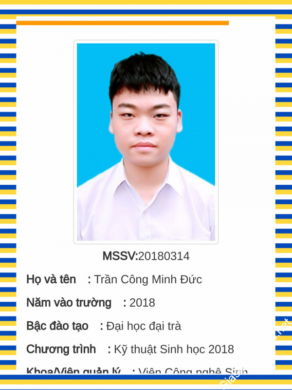 Gia sư giỏi Đại học Bách khoa Hà Nội chuyên dạy kèm môn Vật Lý