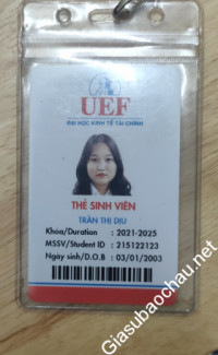 Gia sư giỏi Đại học Kinh tế - Tài chính TP.HCM chuyên dạy kèm môn Toán, Vật Lý, Báo bài, Tiếng Việt