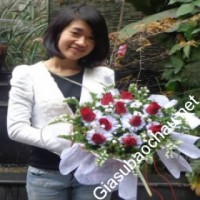 Gia sư giỏi Đại học Sư phạm Hà Nội chuyên dạy kèm môn Ngữ văn, Tiếng Việt