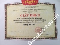 Gia sư giỏi Đại học Quốc gia Hà Nội - Đại học Khoa học Xã hội & Nhân văn chuyên dạy kèm môn Toán, Tiếng Việt