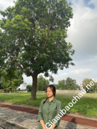 Gia sư giỏi Học viện Công nghệ Bưu chính Viễn thông chuyên dạy kèm môn Toán, Ngữ văn, Tiếng Việt