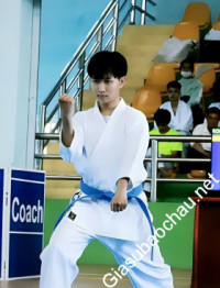 Giáo viên giỏi Đại học Kinh tế TP.HCM chuyên dạy kèm môn Võ thuật
