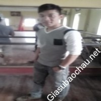 Gia sư giỏi Đại học Ngoại Ngữ - Đại học Thái Nguyên