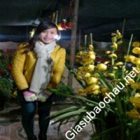 Gia sư giỏi Đại học Ngoại Ngữ - Đại học Thái Nguyên