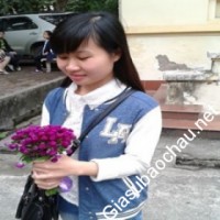 Gia sư giỏi Đại học Hà Nội chuyên dạy kèm môn Toán, Tiếng Anh, Tiếng Anh giao tiếp, Tiếng Việt