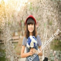 Gia sư giỏi Đại học Hà Nội chuyên dạy kèm môn Tiếng Anh