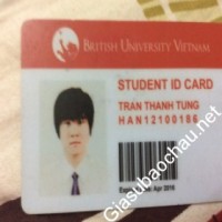 Gia sư giỏi British University Vietnam chuyên dạy kèm môn Tiếng Anh, Tiếng Anh giao tiếp
