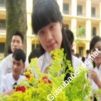 Gia sư giỏi Đại học Quốc gia Hà Nội - Đại học Giáo dục chuyên dạy kèm môn Toán, Vật lý