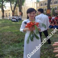 Gia sư giỏi Đại học Quốc gia Hà Nội - Đại học Ngoại ngữ chuyên dạy kèm môn Tiếng Anh