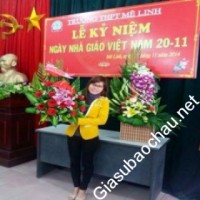 Gia sư giỏi Đại học Sư phạm Hà Nội 2 chuyên dạy kèm môn Ngữ văn, Luyện chữ đẹp, Tiếng Việt