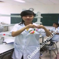 Gia sư giỏi Học viện Y dược học cổ truyền Việt Nam chuyên dạy kèm môn Toán, Hóa