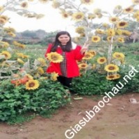 Gia sư giỏi Đại học Sư phạm Hà Nội 2 chuyên dạy kèm môn Ngữ văn