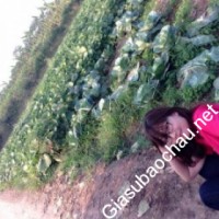 Gia sư giỏi Học viện Công nghệ Bưu chính Viễn thông chuyên dạy kèm môn Toán, Hóa