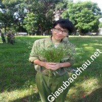 Gia sư giỏi Đại học Hà Nội chuyên dạy kèm môn Tiếng Anh, Tiếng Pháp