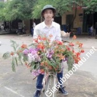 Gia sư giỏi Học viện Quân y chuyên dạy kèm môn Toán, Vật lý, Hóa