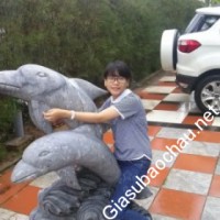 Gia sư giỏi đại học sư phạm Hà nội chuyên dạy kèm môn Toán, Ngữ văn