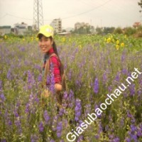 Gia sư giỏi Đại học Dược Hà Nội chuyên dạy kèm môn Toán, Hóa