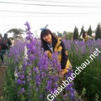 Gia sư giỏi Đại học Quốc gia Hà Nội - Đại học Ngoại ngữ chuyên dạy kèm môn Tiếng Anh, Tiếng Nhật