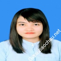 Gia sư giỏi Đại học Sư phạm Hà Nội chuyên dạy kèm môn Toán, Ngữ văn